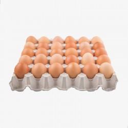Huevos Primera Color - 30 uds.